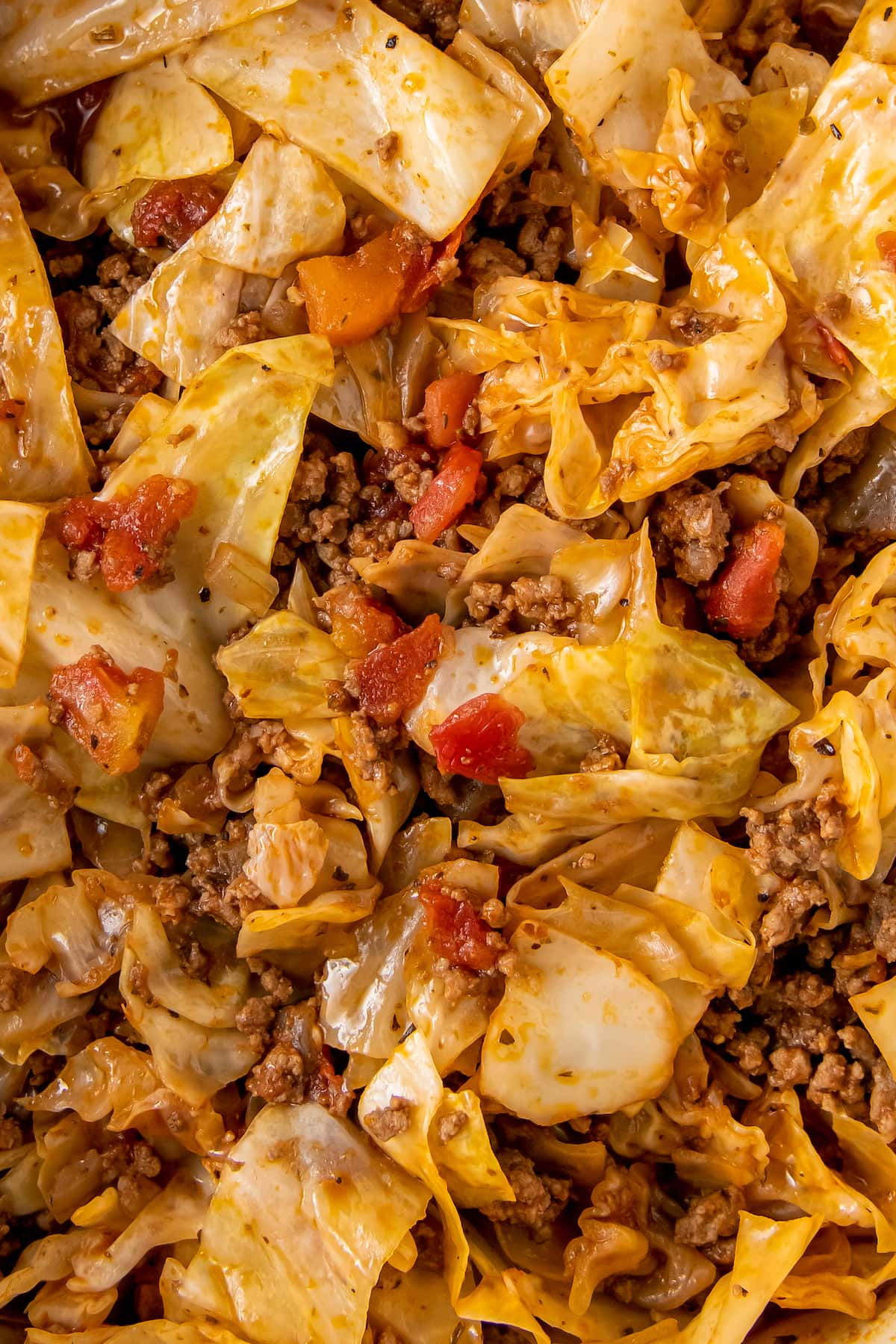 close up of unstuffed cabbage rolls