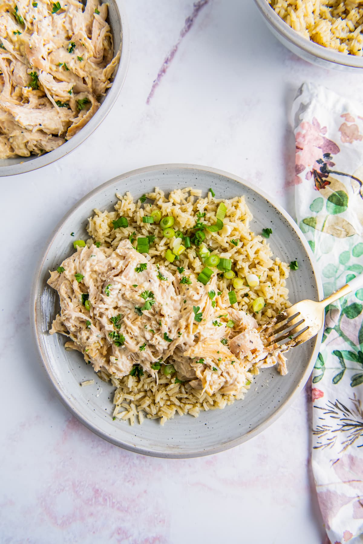 a plate with shredded creamy chicken next to rice