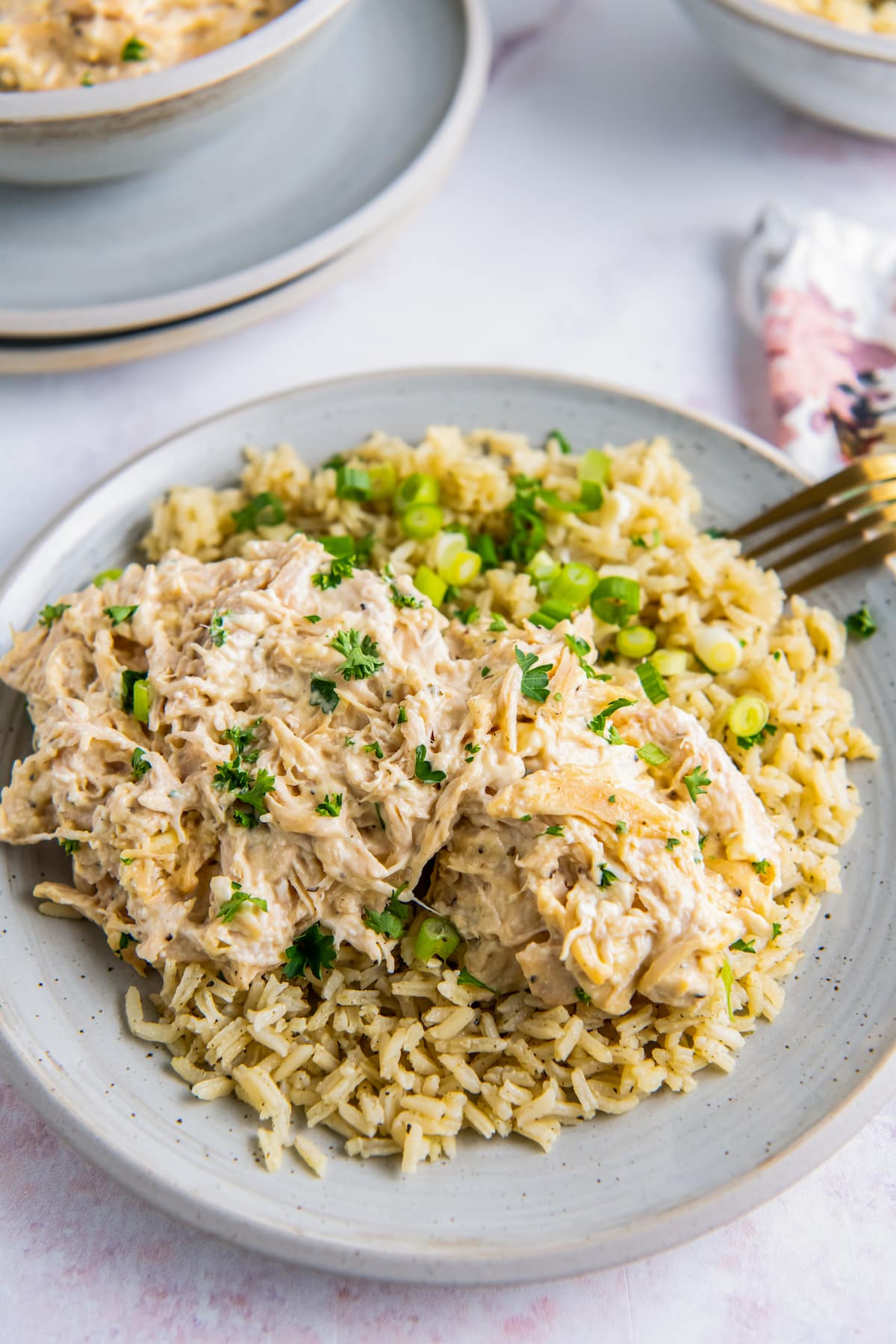 a plate with shredded creamy chicken next to rice