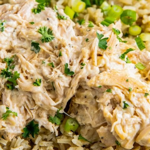close up of crockkpot ranch chicken which is shredded chicken with creamy sauce and herb garnish