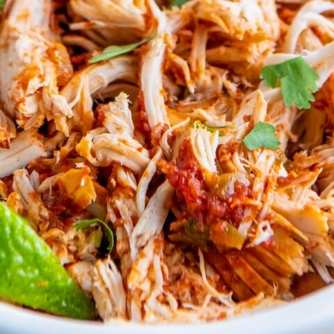 shredded chicken smothered in salsa