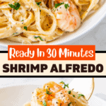 A plate of shrimp alfredo and a fork picking up a bite of pasta and shrimp.