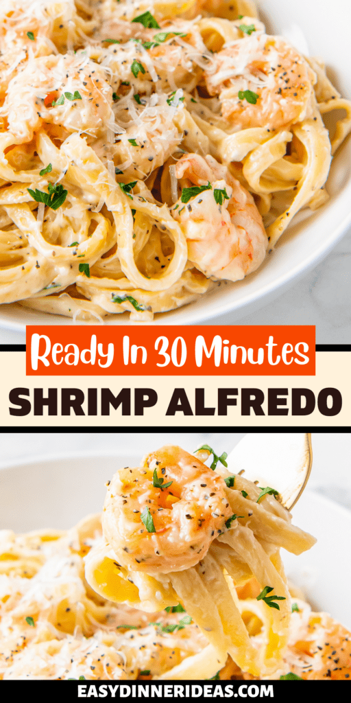 A plate of shrimp alfredo and a fork picking up a bite of pasta and shrimp.