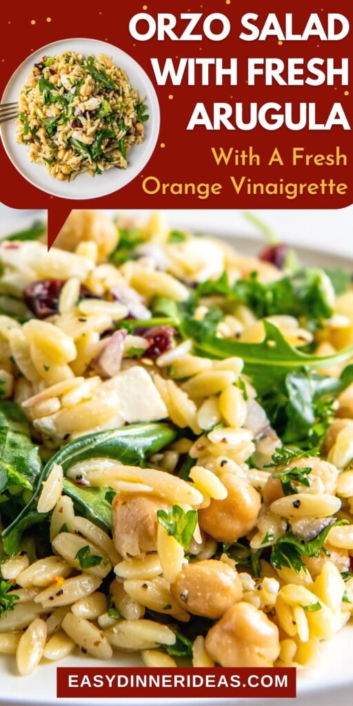 A plate of Orzo Salad with Arugula with dried cherries, chick peas and orange dressing.