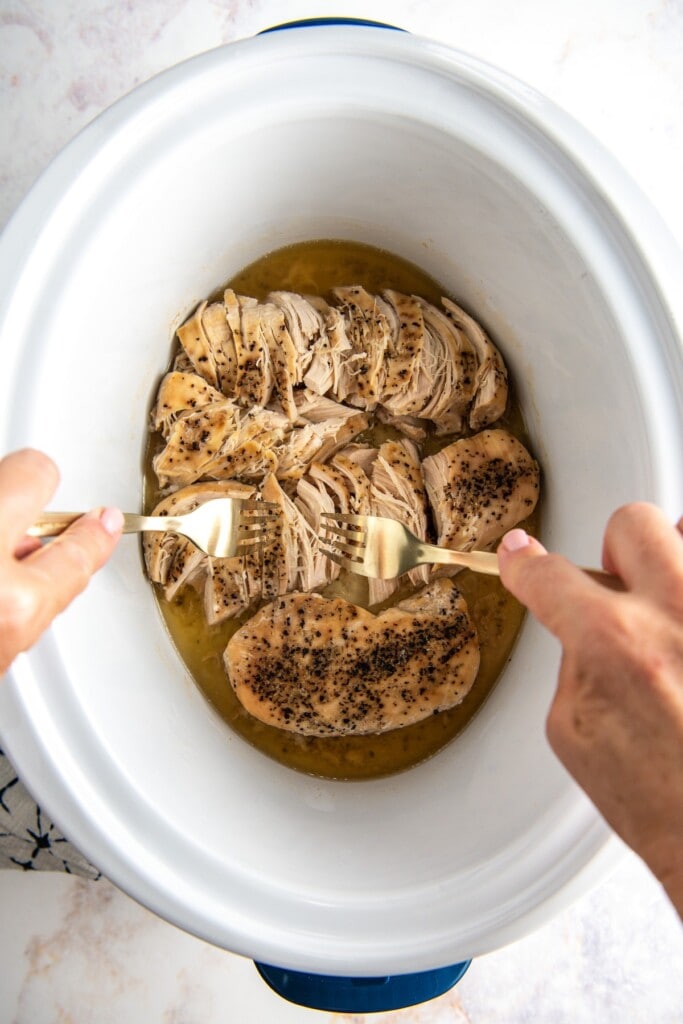 Shredding cooked chicken breast with forks.