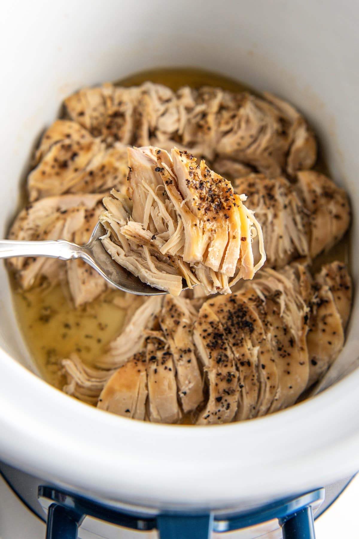 Shredded chicken breast on a spoon.