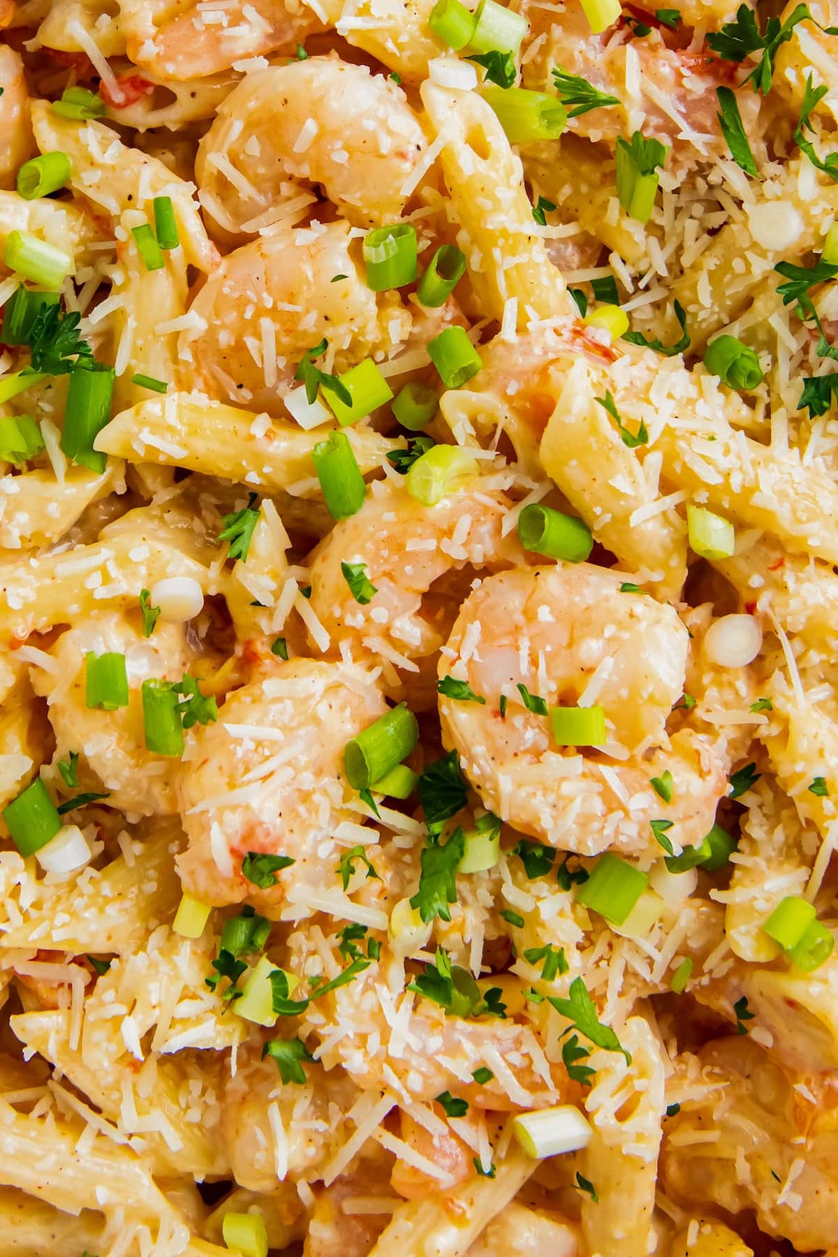 Cajun shrimp pasta with green onions and Parmesan on top.