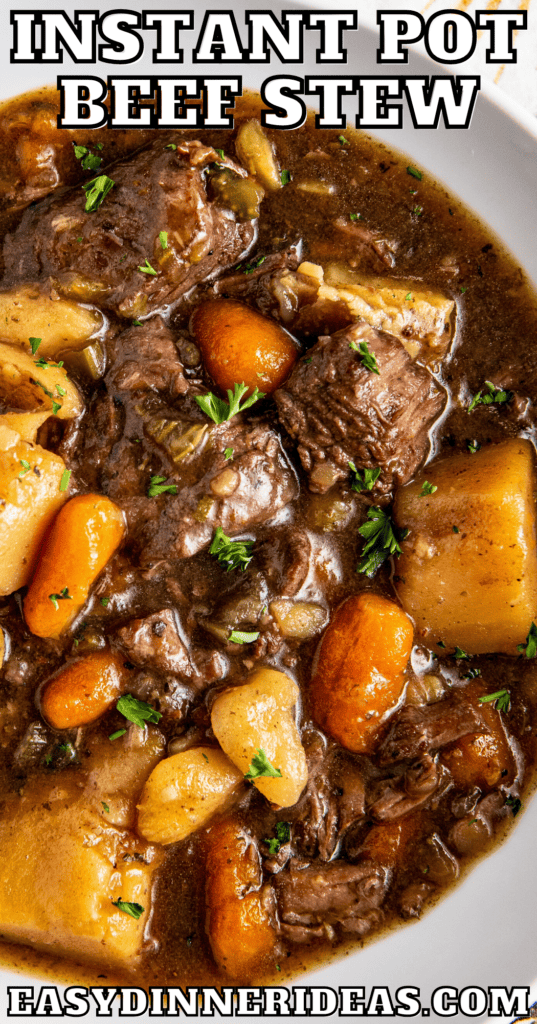 A bowl of beef stew with fresh herbs on top.