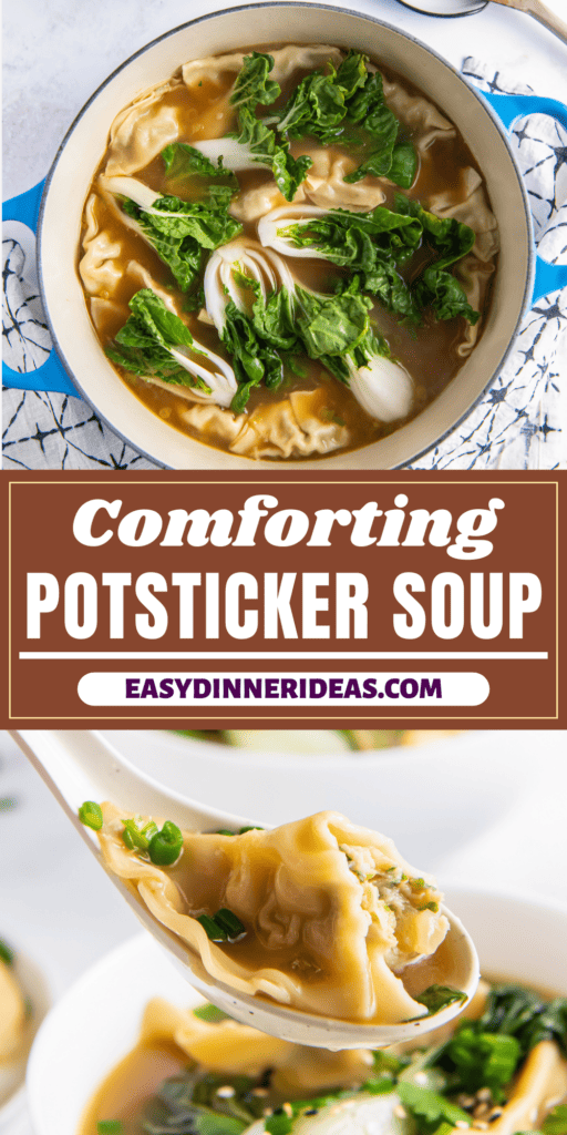 A pot of posticker soup with a spoon scooping up a serving.