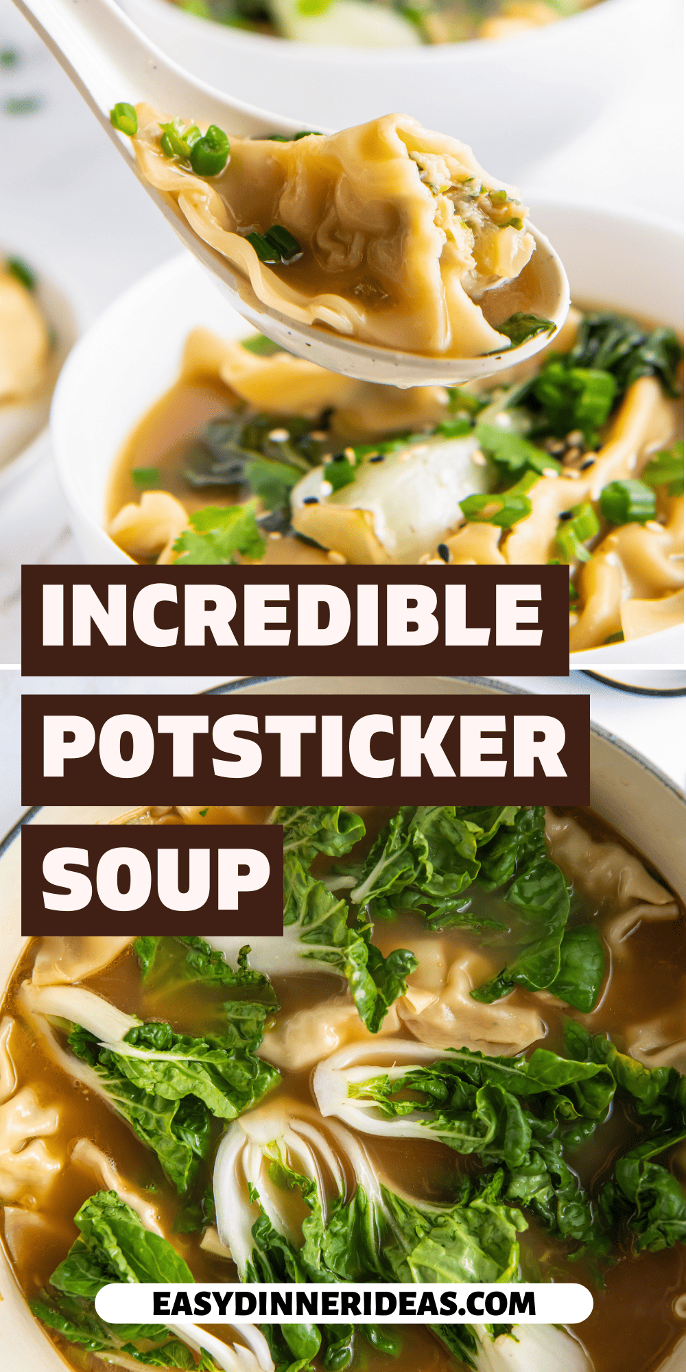 Potsticker Soup Easy Dinner Ideas