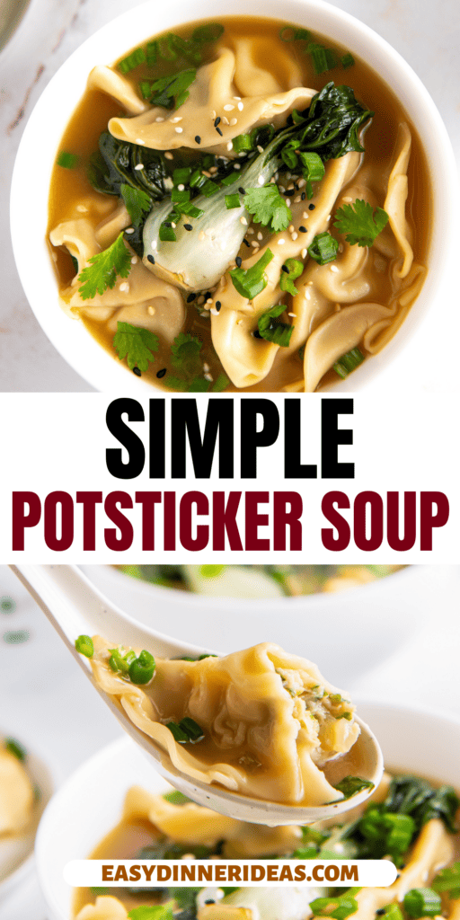 A bowl of potsticker soup with bok choy.