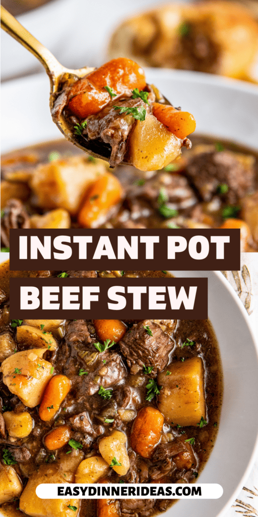 Beef stew in a bowl and a spoon picking up a bite.