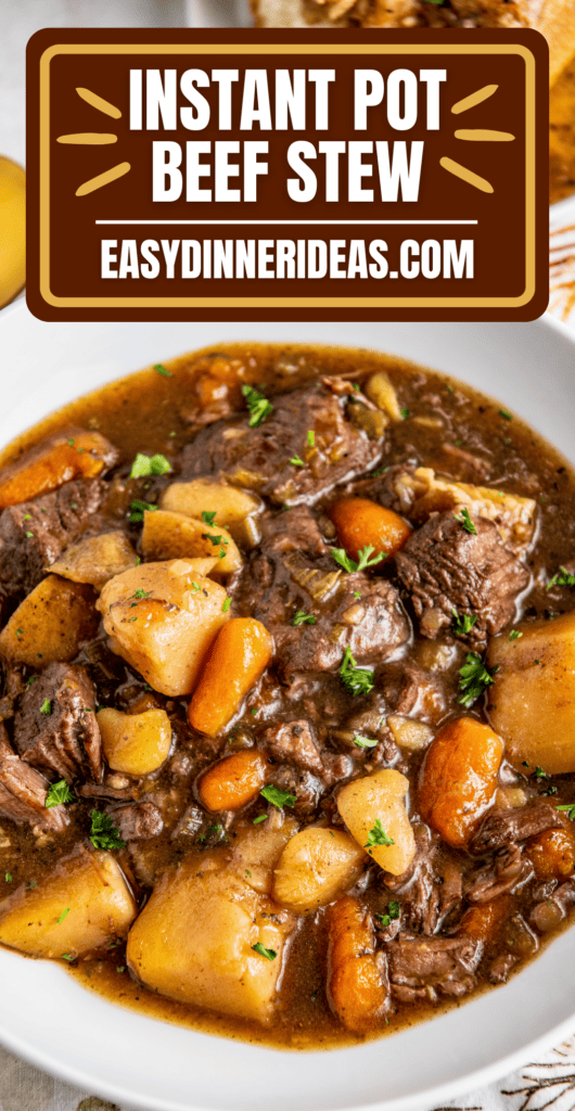 A bowl of beef stew with carrots and potatoes.
