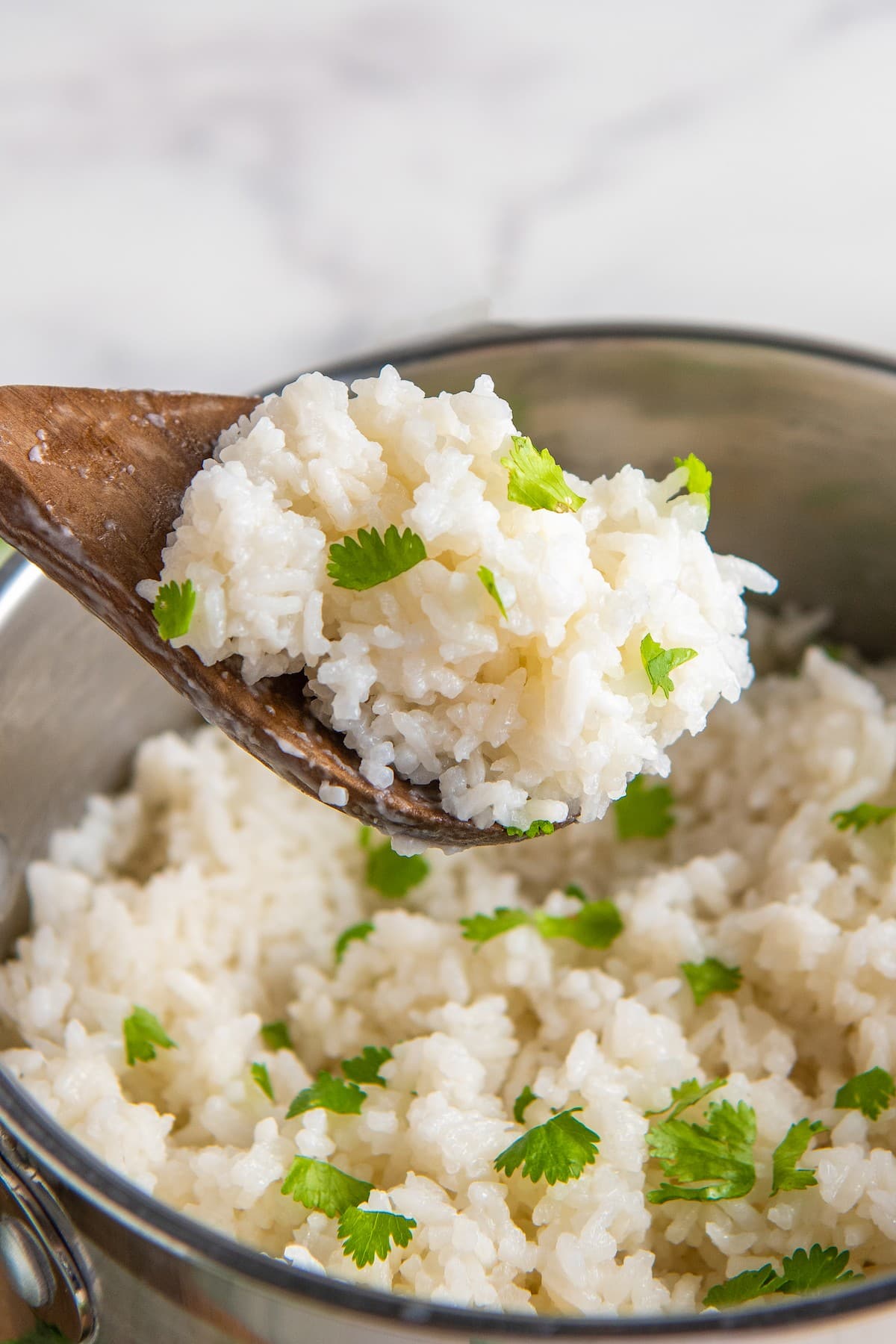 Close up of a spoonful of coconut rice topped with cilantro on a wooden spoon, above a pot of rice