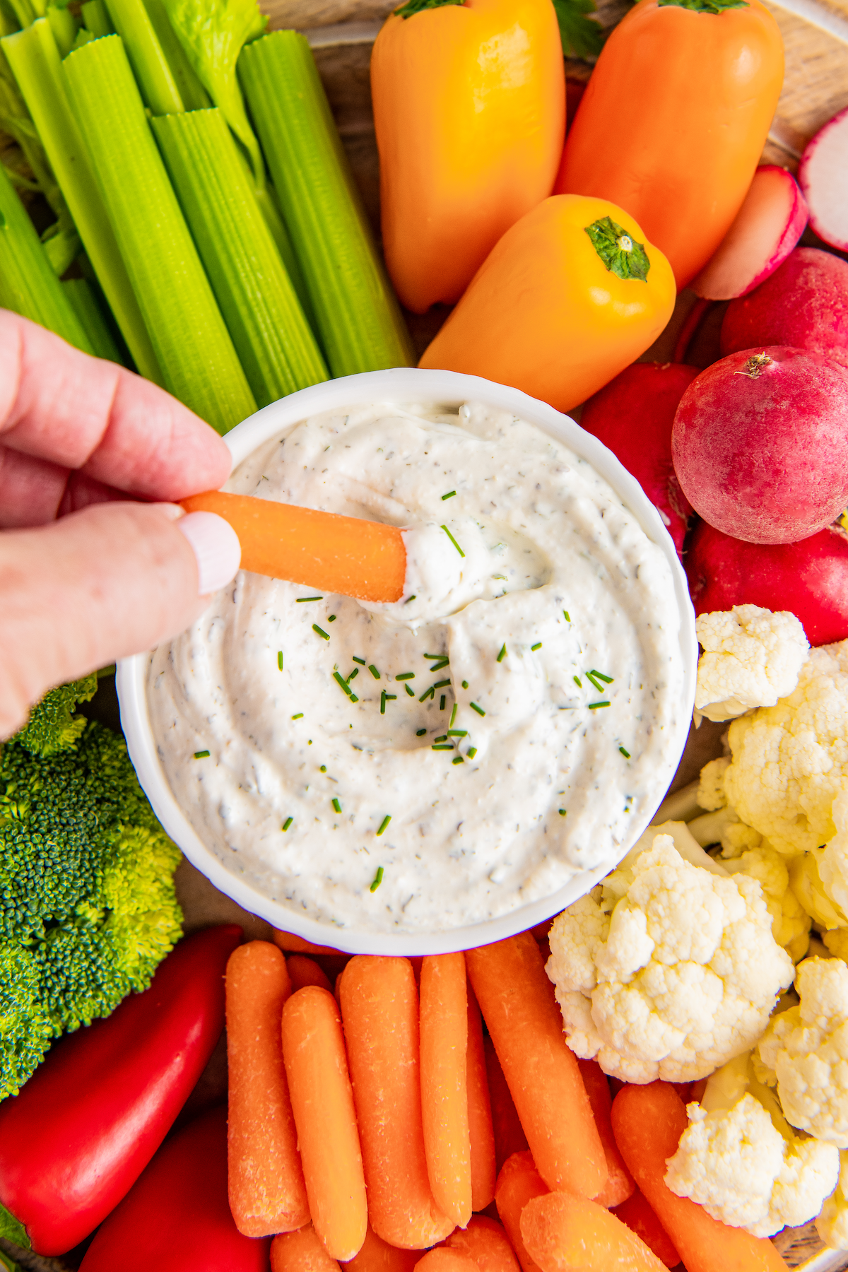 A baby carrot being dipped into a bowl of ranch surrounded by carrots, celery, broccoli, cauliflower, and radishes