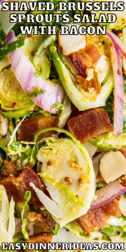 Up close image of Shaved Brussels Sprout Salad with bacon and parmesan on top.