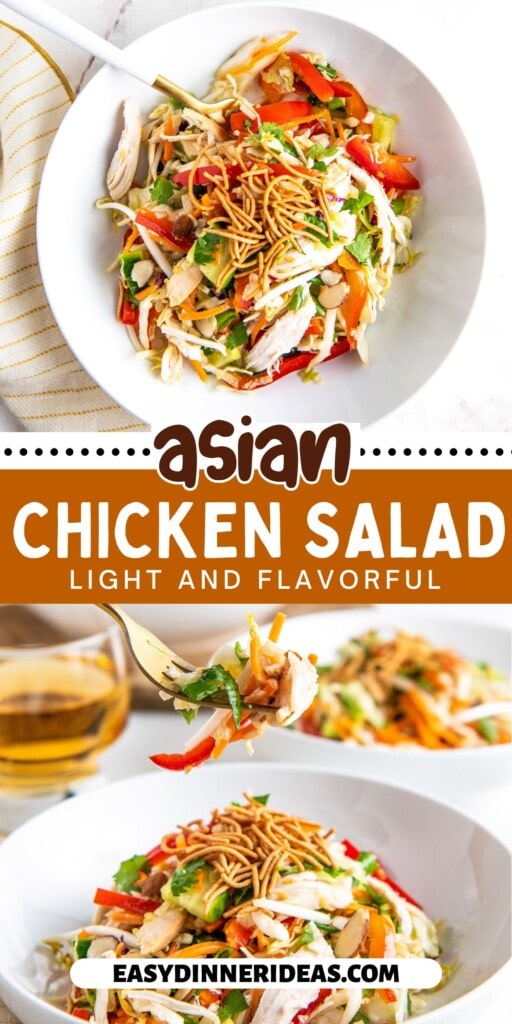 A bowl with an Asian Chicken Salad and a fork picking up a bite.