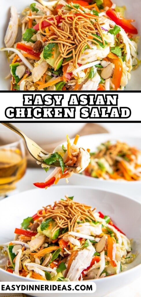 A bowl of Asian Chicken Salad with a fork taking a bite.