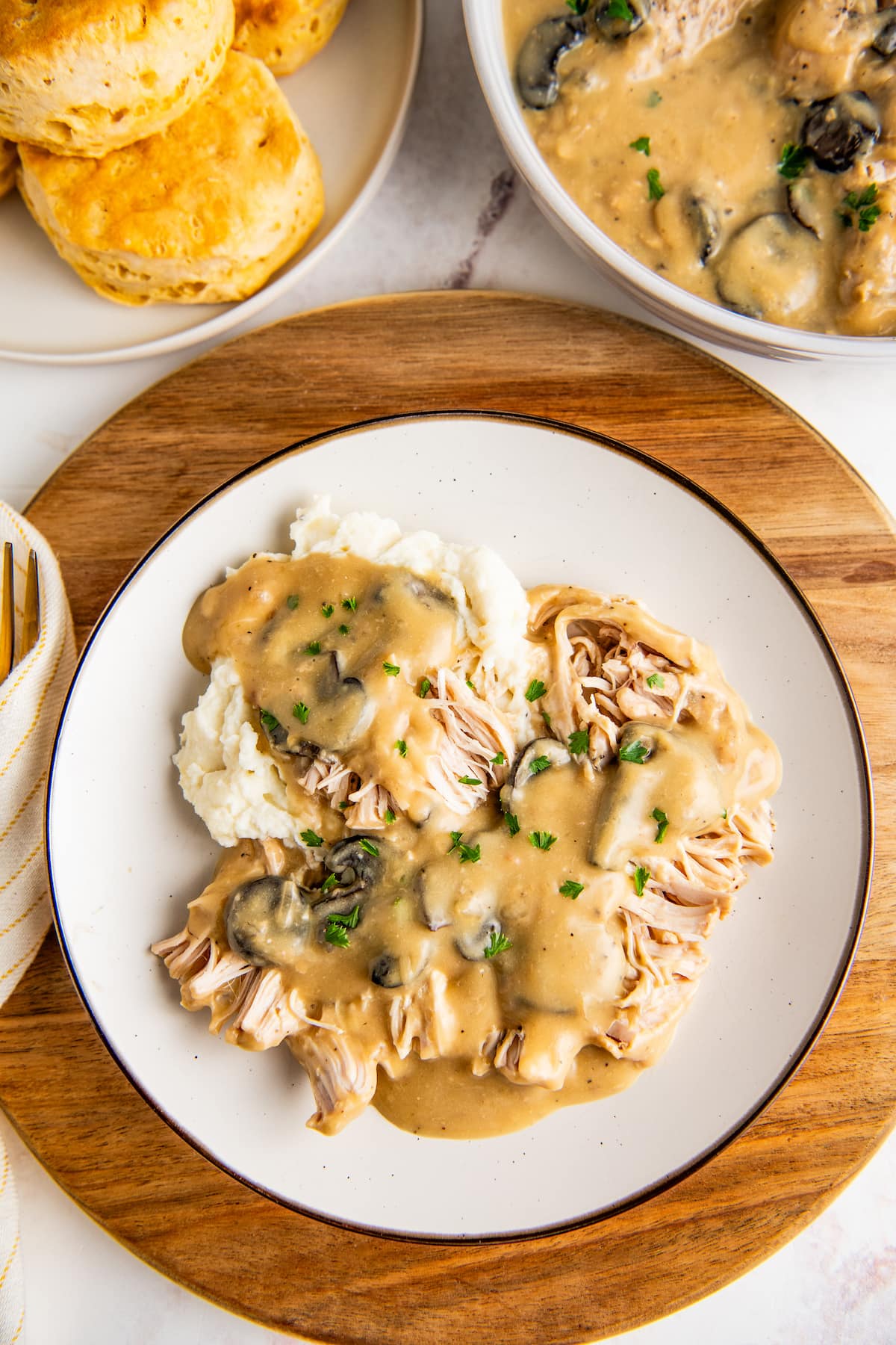 Overhead view of a plate of shredded chicken in gravy, on top of a bed of mashed potatoes