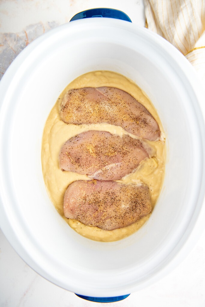 Overhead view of seasoned chicken breasts on top of gravy in a crockpot.