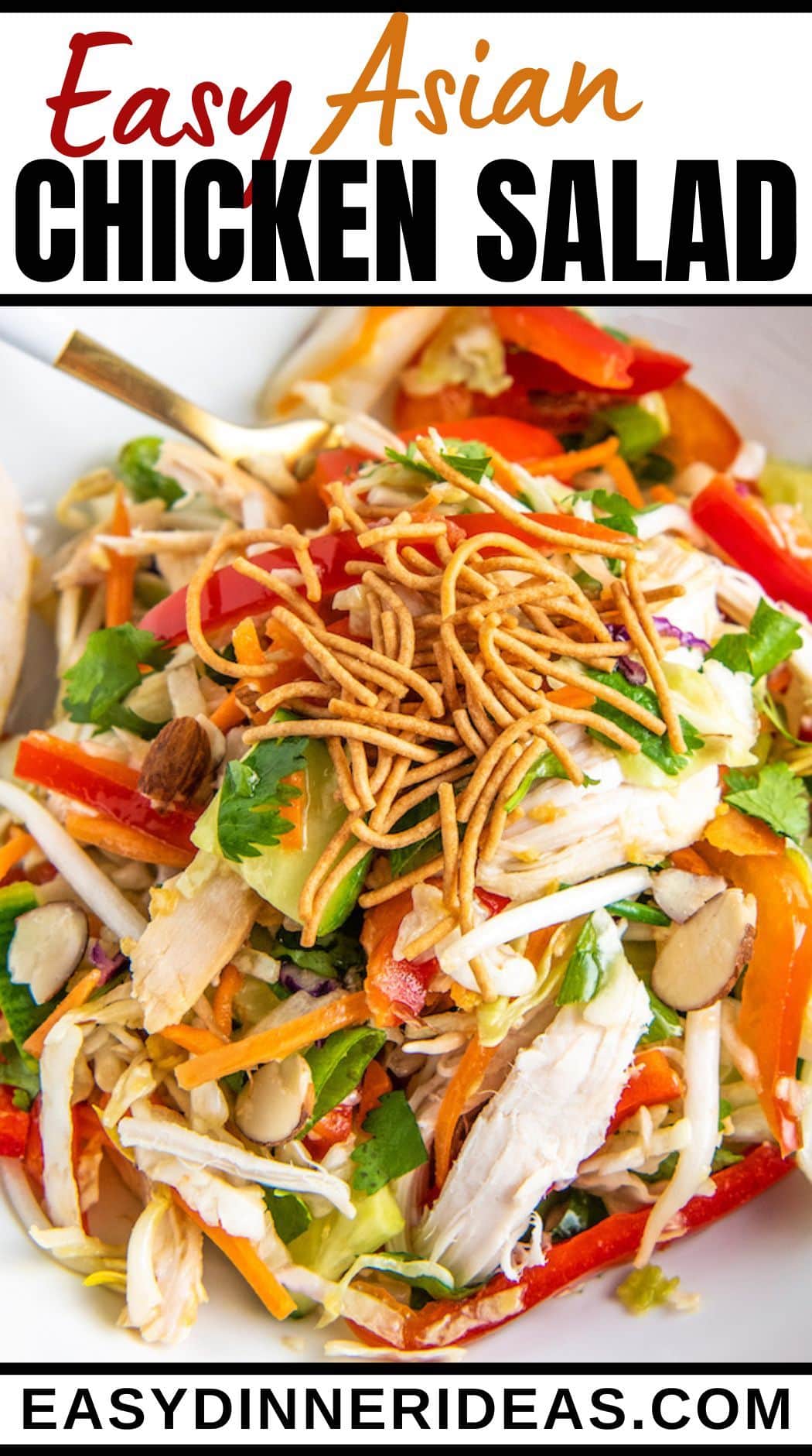 asian-chicken-salad-recipe-easy-dinner-ideas