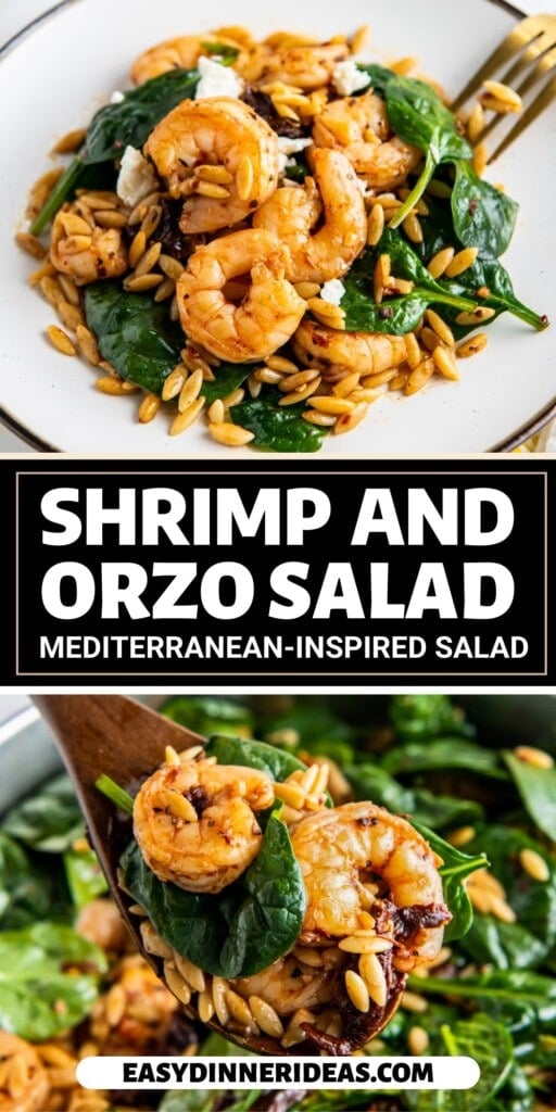 Shrimp and orzo salad with spinach in a skillet and a serving on a plate.