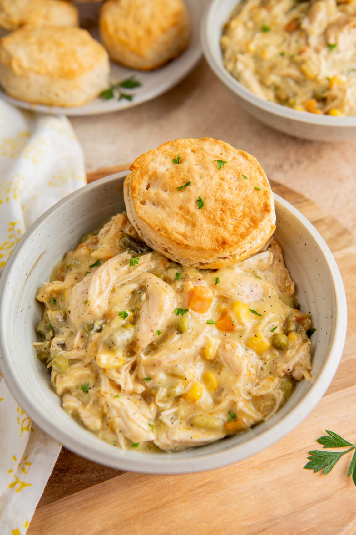 Instant Pot Chicken Stew Recipe | Easy Dinner Ideas