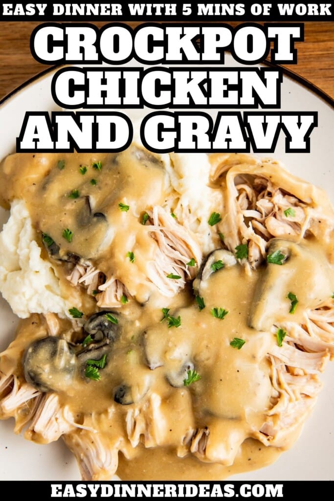 Chicken and gravy over a bed of mashed potatoes.