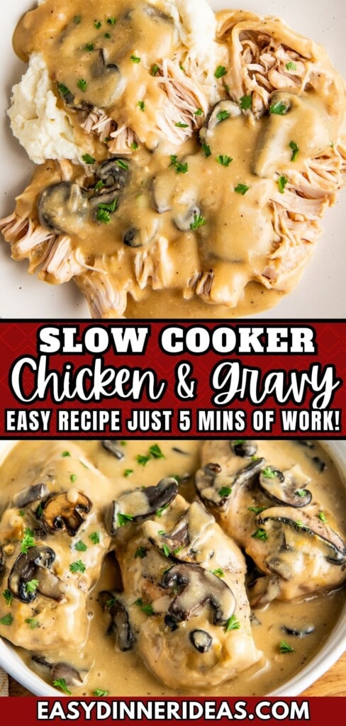 Slow cooker chicken and gravy shredded on top of mashed potatoes.