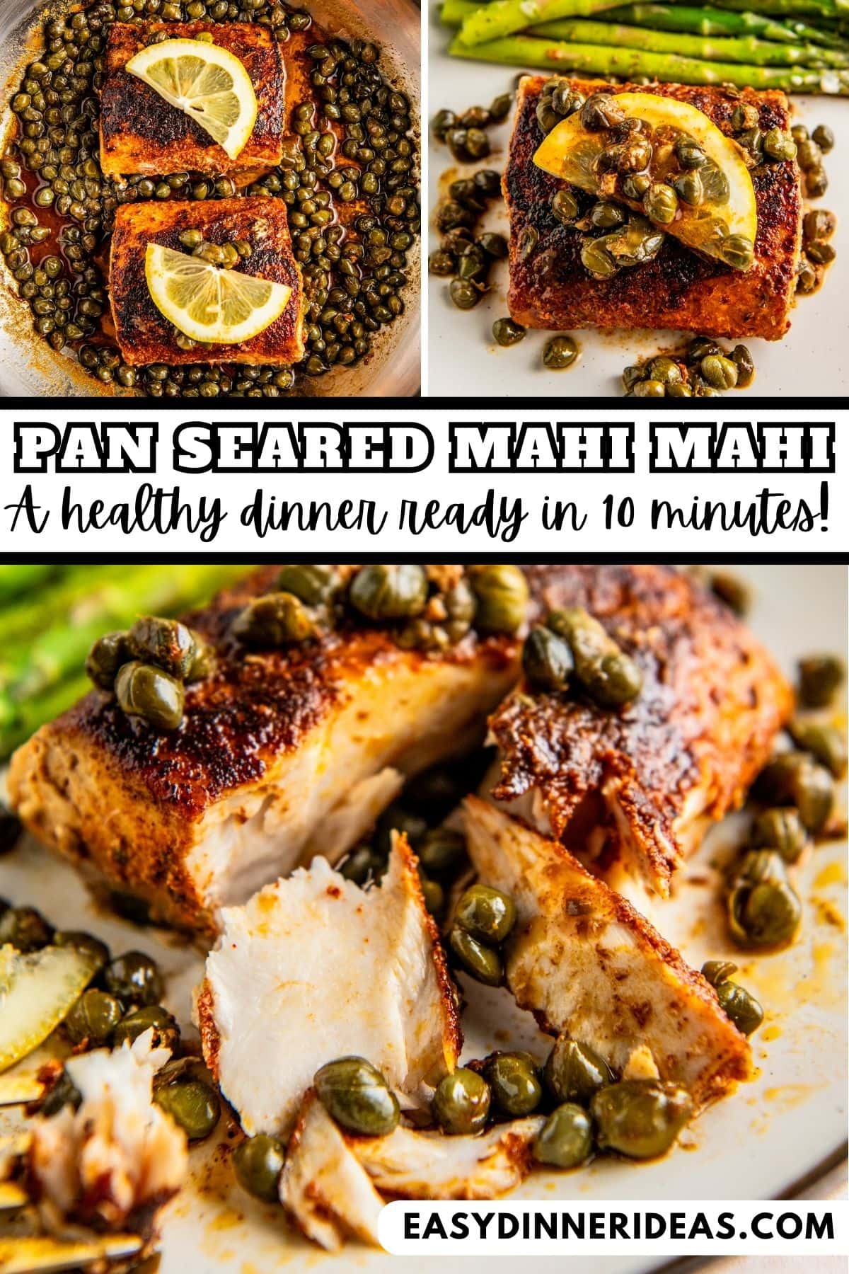 Pan Seared Mahi Mahi Recipe Easy Dinner Ideas