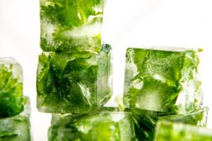 Frozen cilantro ice cubes.