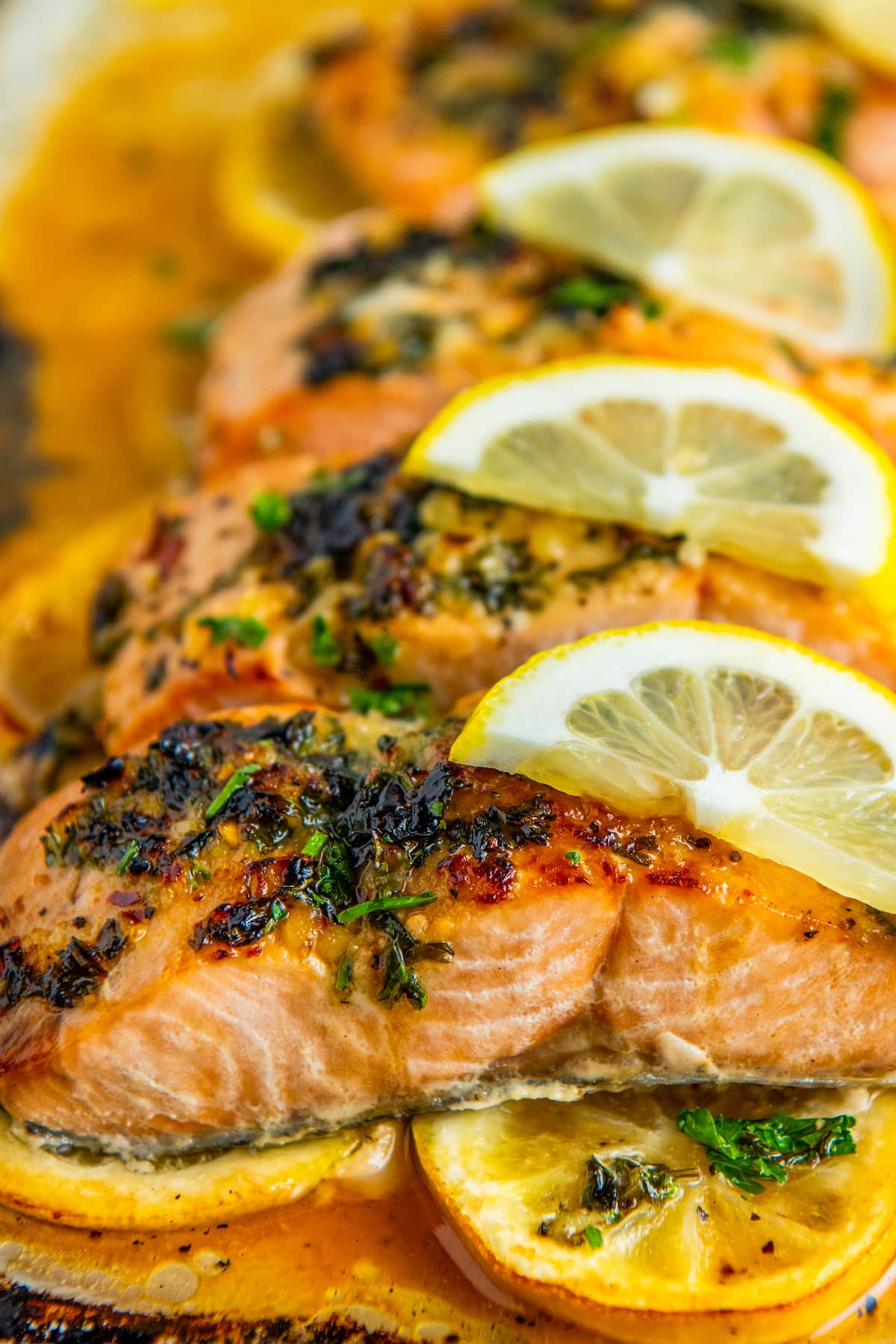 Side view of a baking tray full of salmon fillets on top of cooked lemon slices, with fresh lemon slices on top.