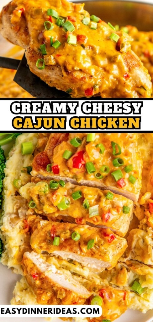 Creamy Cajun Chicken Easy Dinner Ideas