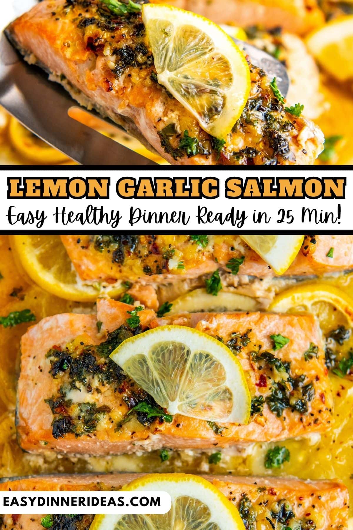 Lemon Garlic Salmon Easy Dinner Ideas
