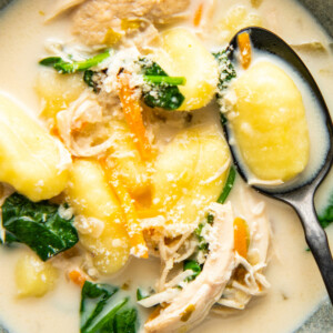 Closeup of a bowl of chicken and gnocchi soup.