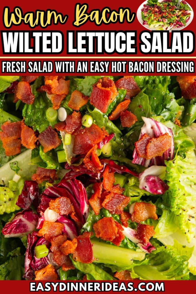 Wilted lettuce salad topped with a warm bacon dressing and crisp bacon on top.