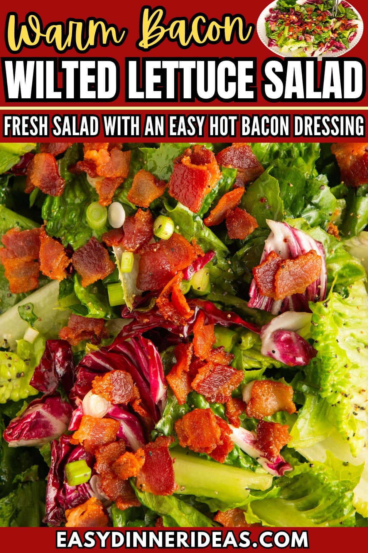 Wilted Lettuce Salad With Hot Bacon Dressing | Easy Dinner Ideas