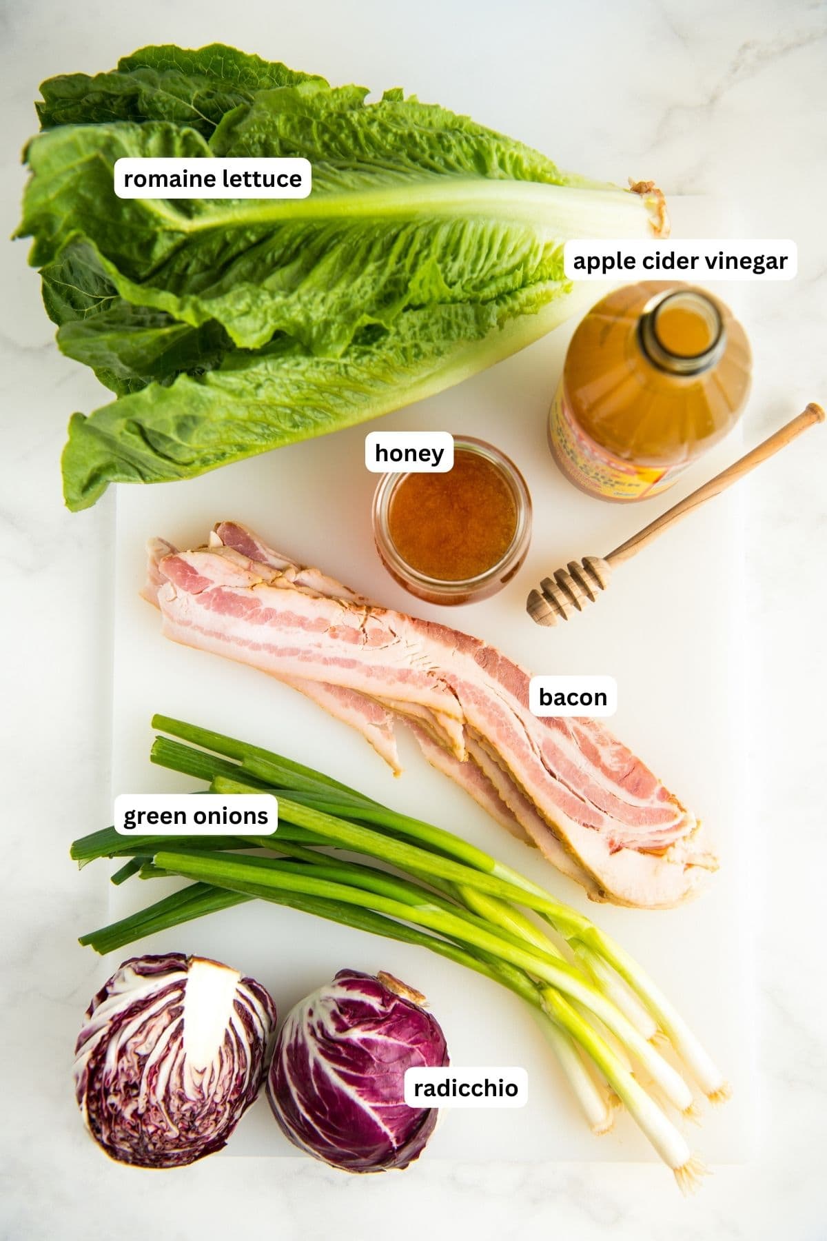 Ingredients for wilted lettuce salad with hot bacon dressing recipe arranged on a cutting board. From top to bottom: romaine lettuce, apple cider vinegar, honey, bacon, green onions and radicchio.