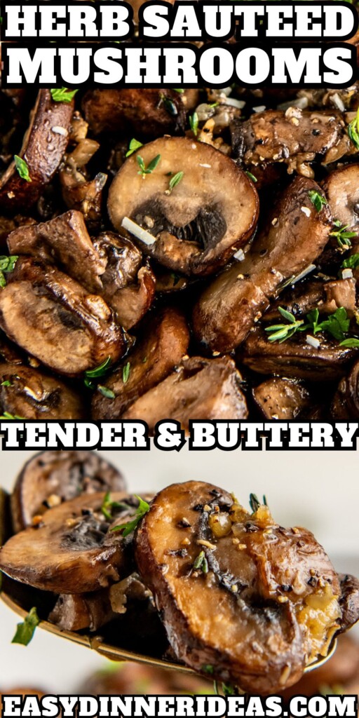 Sauteed mushrooms in a bowl and buttery garlic mushrooms on a serving spoon.