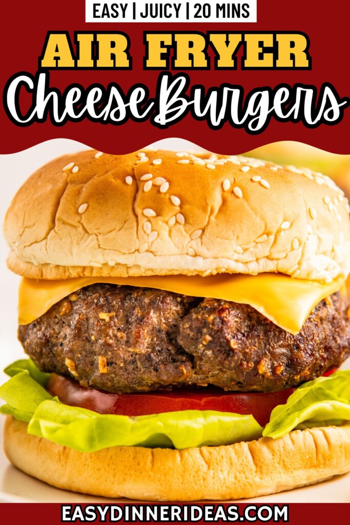Cheese topped air fryer hamburgers served on a toasted bun with all the toppings.