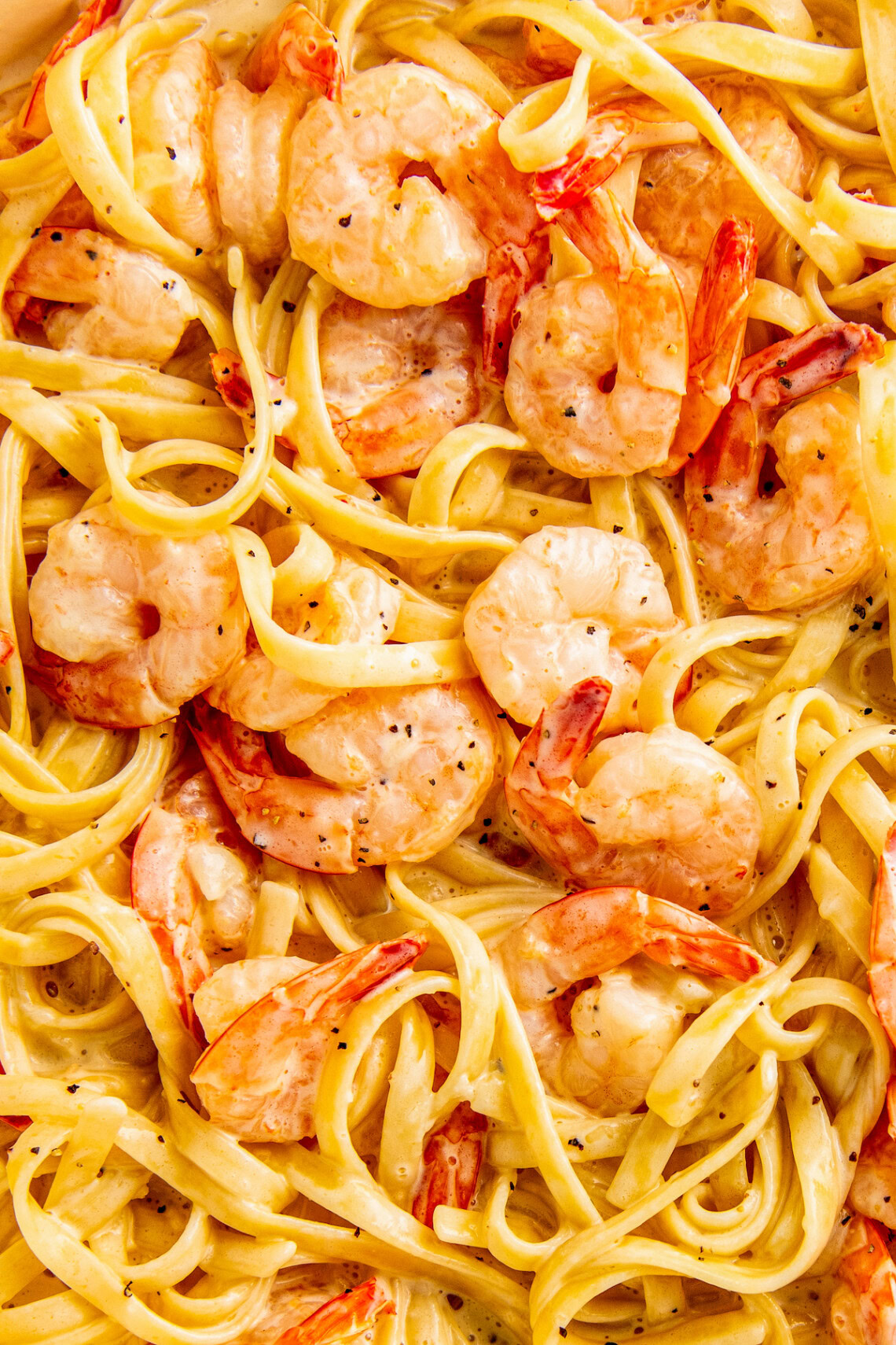 Lemon Garlic Shrimp Pasta Recipe Easy Dinner Ideas 0092