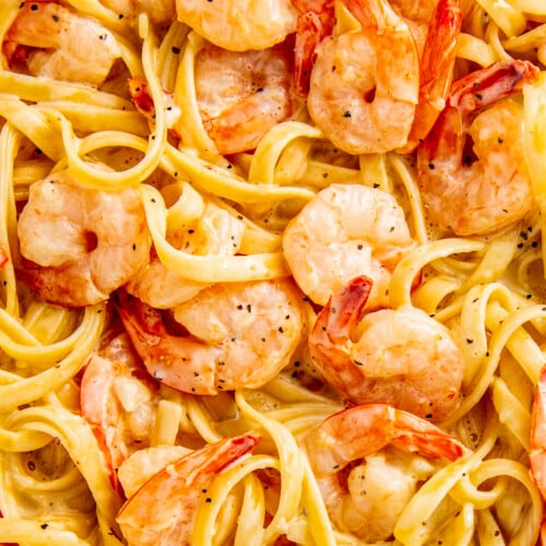 Lemon Garlic Shrimp Pasta Recipe | Easy Dinner Ideas