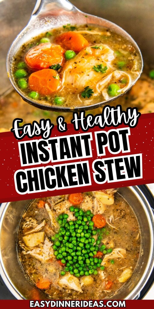 A ladle scooping out a serving of chicken stew out of an instant pot.