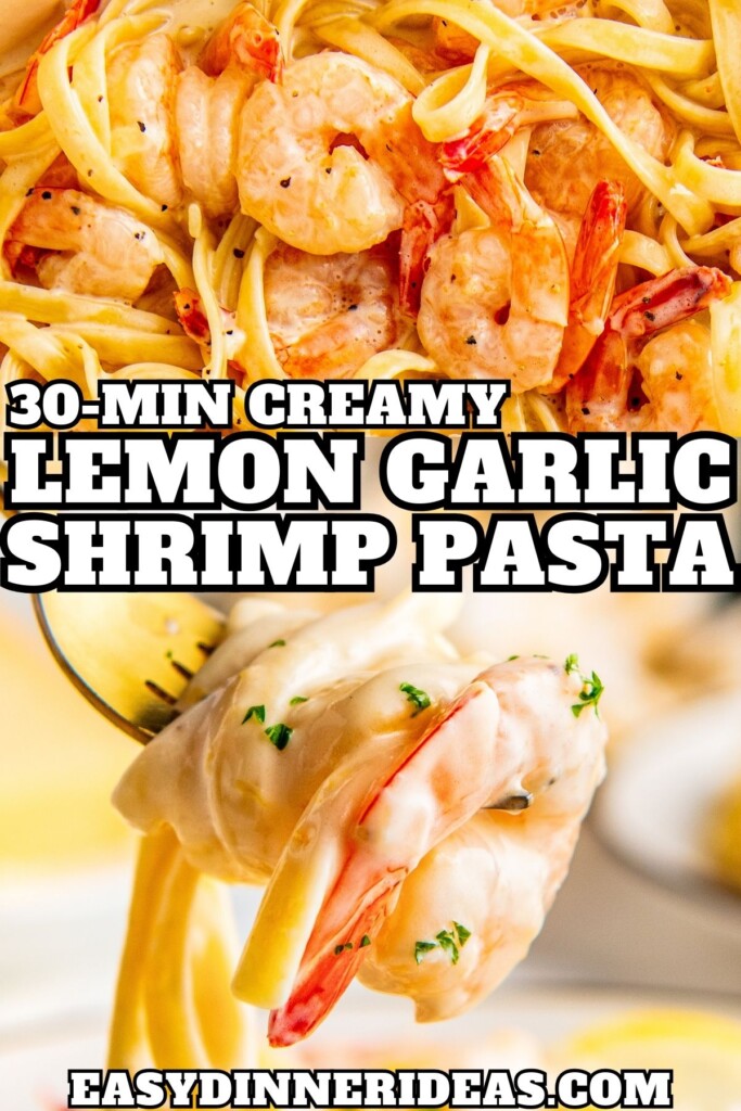 Lemon garlic shrimp pasta in a skillet and a fork picking up a bite of creamy pasta with shrimp.