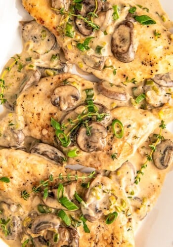 Tender and juicy chicken breasts and mushrooms in a creamy asiago cheese sauce topped with fresh herbs.