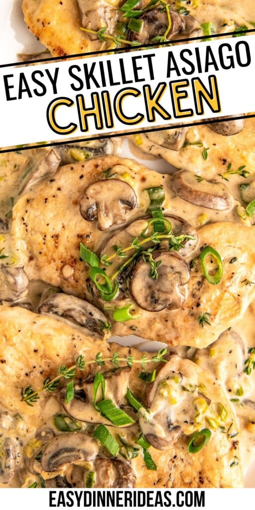 Creamy asiago chicken with mushrooms topped with fresh herbs.