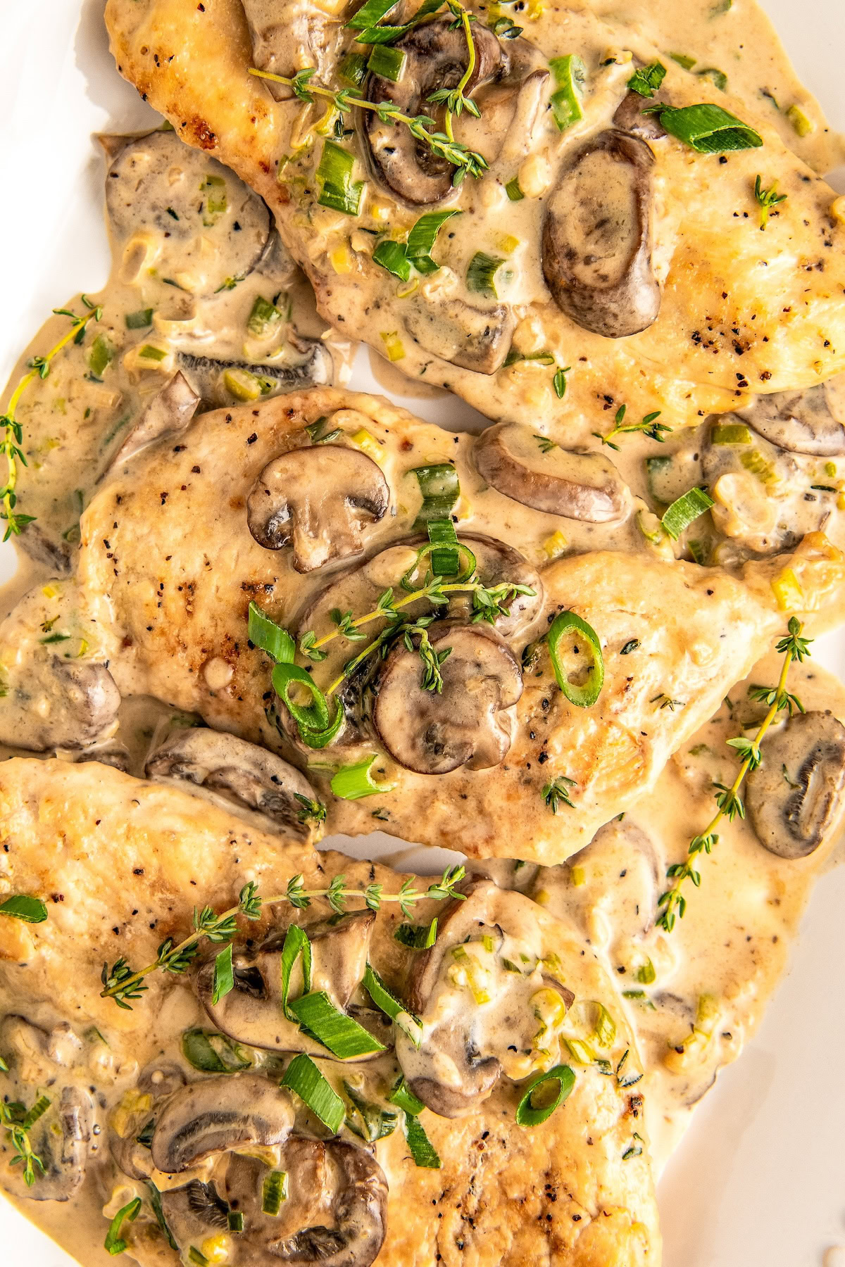 Tender and juicy chicken breasts and mushrooms in a creamy asiago cheese sauce topped with fresh herbs.