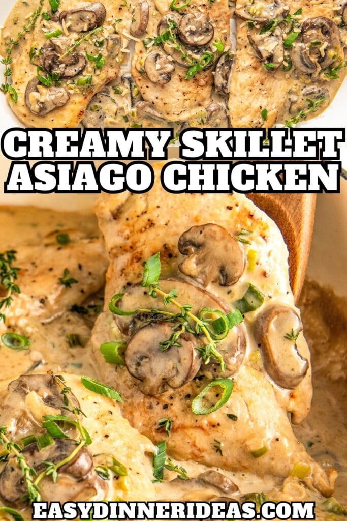 Creamy asiago chicken with mushrooms and fresh herbs being lifted with a spoon out of a skillet.