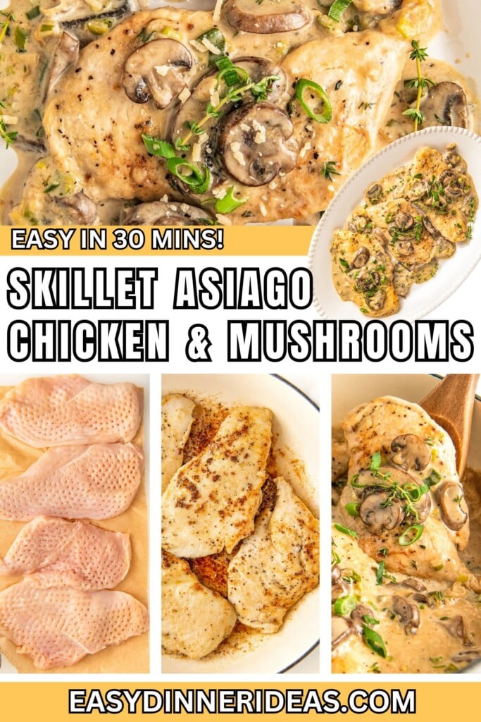 Pounded out chicken, seared chicken in a skillet, and a skillet filled with creamy asiago chicken with mushrooms.