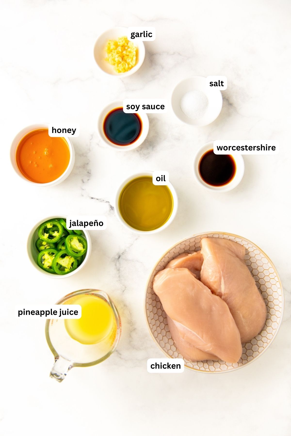 Labeled ingredients for grilled chicken marinade recipe in order from top to bottom: garlic, honey, soy sauce, salt, jalapeno, oil, worcestershire, pineapple juice and chicken. 